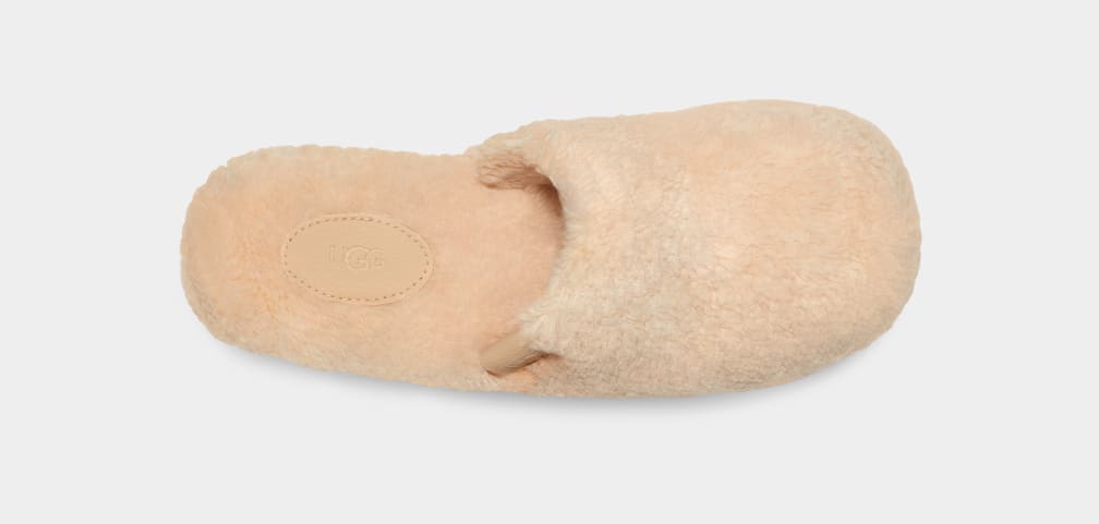 Beige Ugg Fuzz Sugar Women Slippers | 093651-REZ