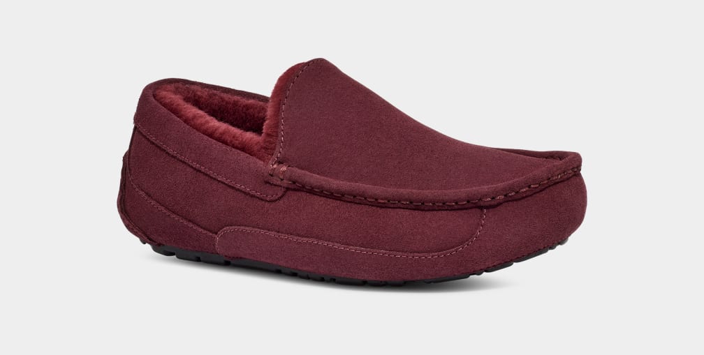 Purple Ugg Ascot Men Moccasins | 765083-MQV