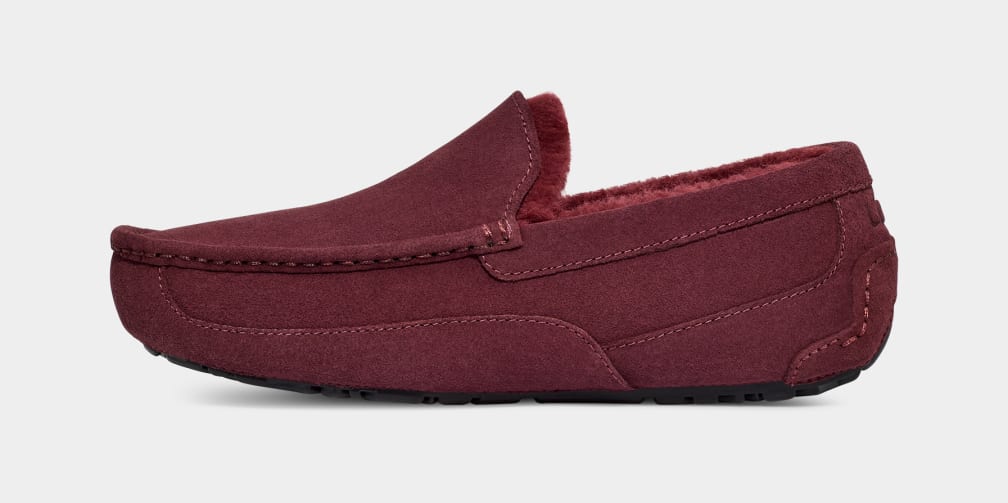 Purple Ugg Ascot Men Moccasins | 765083-MQV